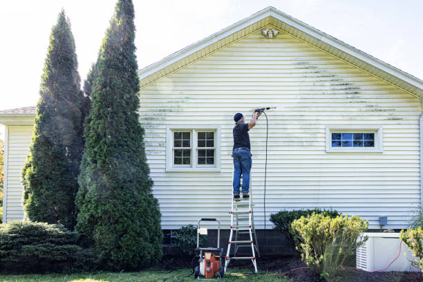 Best Fence Cleaning and Maintenance in Sterling Heights, MI